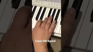 FM Sound CTS-1 Casio