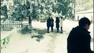 Согмент 2001