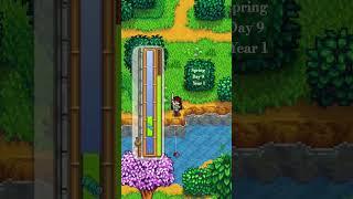 some early game fishing  #fishing #stardewvalley #spring #concernedape