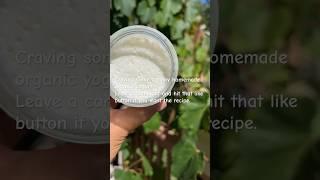DIY Organic Yogurt Recipe Request!  Like & Comment to Get Cooking #yogurt #homemade #healthyfood