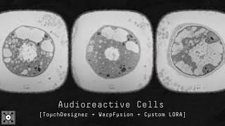 Audioreactive Cells - [TouchDesigner + WarpFusion + Custom LORA | Project Files]