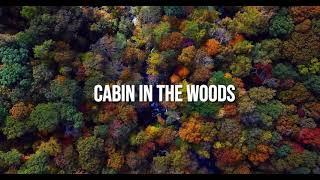 Cabin in the Woods