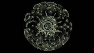 Cymatics -  Beautifully morphing cymaglyphs