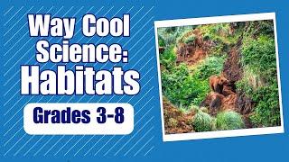 Way Cool Science: Habitats-Learn about plants and animals living in earth's land and water habitats