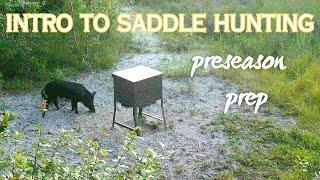 Intro to Saddle: My Preseason Prep.