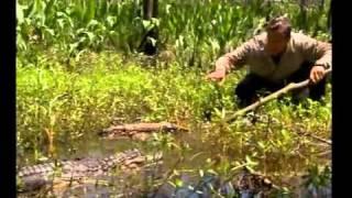 Man Vs Wild   Seul Face A La Nature s03Ep02 Le Sud Profond