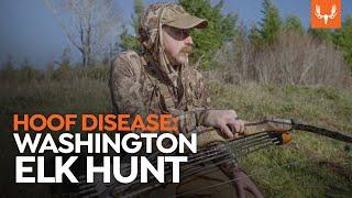 A Washington Elk Hunt | Cal In The Field