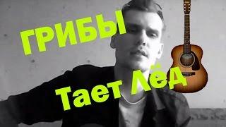 Грибы — Тает Лёд (Cover. Шакиров Даниил, Как играть)