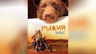 Рыжий пес (2011)