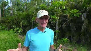 Fruit N Sport Fruit Farm Tour   HD 1080p