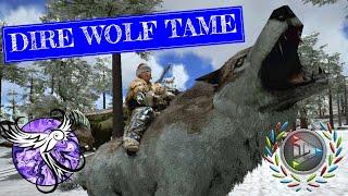 TAMING OUR FIRST DIRE WOLF | Nomadic Survival EP31 | ARK Survival Evolved Mobile