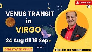 Venus transit in Virgo for all Ascendants 24 Aug till 18 Sep | Debilitated Venus | Astro Predictions