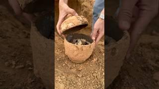 Extracting treasure ancient #treasurehunt