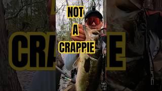 NOT A CRAPPIE!!! #crappie #bassfishing #crappiefishing #bass #fun #bfs #fishing #outdoors #texas