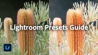 Automate your photo editing with presets in Lightroom | Adobe Photography Basics