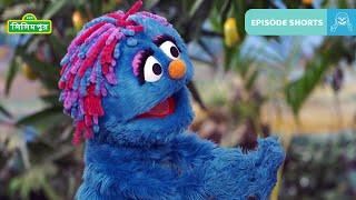 Sisimpur | ফল খাওয়া | Eating Fruits | Educational video for children in Bangla