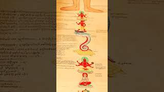 Anatomy of Kundalini: Representation of the Tantric Subtle Body
