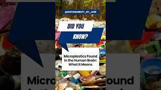 Microplastics Found in the Human Brain: Health Concerns Rise