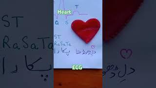 Heart Beat 