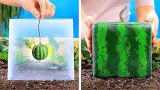 20 INCREÍBLES IDEAS PARA PLANTAS || TRUCOS DE JARDINERÍA QUE DEBES SABER