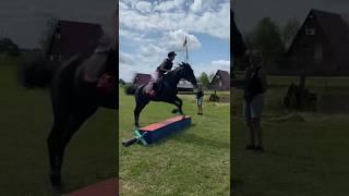  #edit #horse #equestrian #horses #horsejumping #riding #jumping #horseriding #training