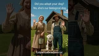 The dog child - Because let’s be honest—when you love a dog this much, they really are your child.