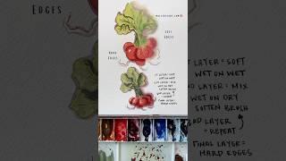 Watercolor techniques: soft vs hard edges #watercolortutorial #watercolorpainting #watercolor