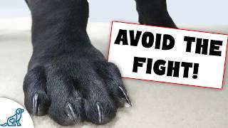 This Simple Trick Makes Dog Nail Trimming EASY!