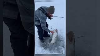 Going to Need a Bigger Hole - Monster Lake Trout #icefishing #monsterfish #monsterfishing