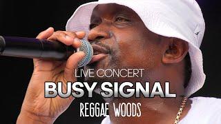 Busy Signal Live @ Reggae Woods Festival Rotterdam The Netherlands 2024