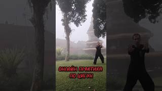 ОНЛАЙН ПРАКТИКА ЦИГУН ️#цигун #тайцзицюань #онлайн #практика #taichi #qigong #太极拳 #气功