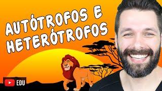 ORGANISMOS AUTÓTROFOS E HETERÓTROFOS | Biologia com Samuel Cunha