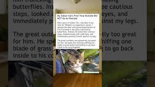 Indoor Cat Did Not Like The Outside️ #wholesome #cat