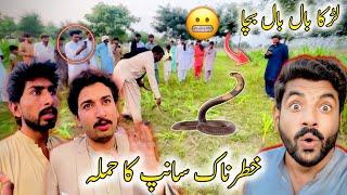 KhatarNaak Sanp Na Hamla Kar Dia  لڑکا حملے سے بال بال بچا  Awais Lashari Vlogs