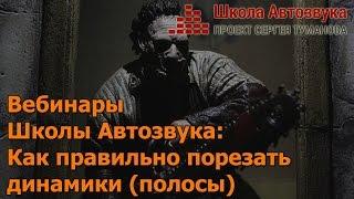 Как правильно порезать динамики (полосы) [Вебинары Школы Автозвука]