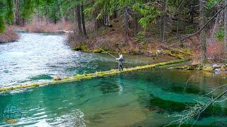 Fly Fishing an Insane River for Huge Trout! (Bull Trout Pt. 2)