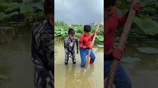 survival skills fishing in lotus fields#spiderman #funny #catch #trending #survival