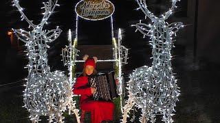 P. I. Tchaikovsky: The Seasons op. 37a, 12. December- Christmas on accordion