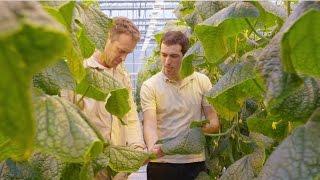 Horticulture innovation through collaboration (English subtitles)