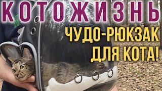 ЧУДО-РЮКЗАК ДЛЯ КОТА! ПРОГУЛКА С ТЁПОЙ  КОТОЖИЗНЬ!