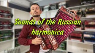 Soulful harmonica sounds  Russian guy performs traditional folk songs on the harmonica