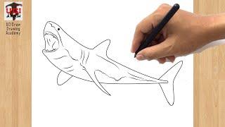 How to Draw a Great White Shark | Easy Drawing of a Shark Step by Step Outline