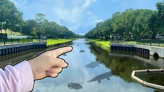 Fishing For Urban MONSTERS In A Florida Canal (INSANE)