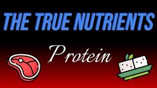 Protein - The True Nutrients