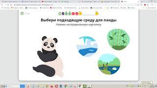 4 класс Экология Красная книга Окружающий мир Алиса Ридель