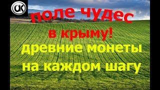 древние монеты на каждом шагу!!! крымское поле чудес!!!(первый выход)