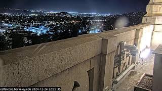 Cal Falcons South/West Cam, UC Berkeley