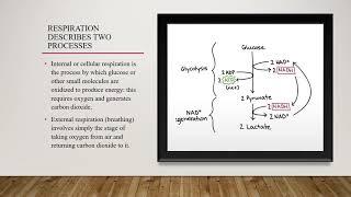 LUNG Presentation