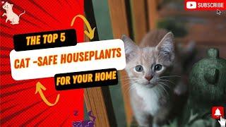 Top 5 Safe Houseplants to Have Around Your Cats