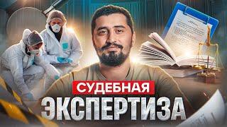 Судебная строительная экспертиза: Путешествие в мир скрытых дефектов